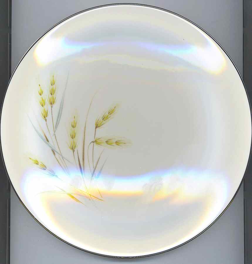 TRI517 Salad Plate by Triomphe-1