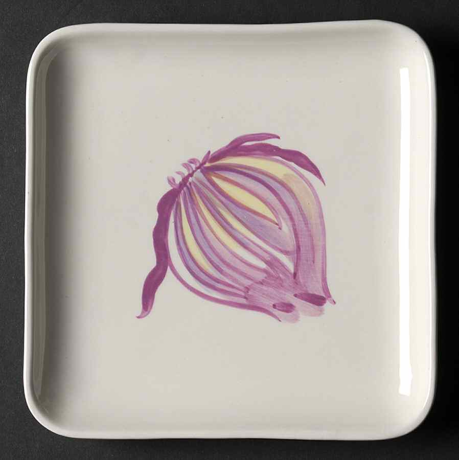 Veggie-Tables Square Appetizer Plate by Tienshan-1