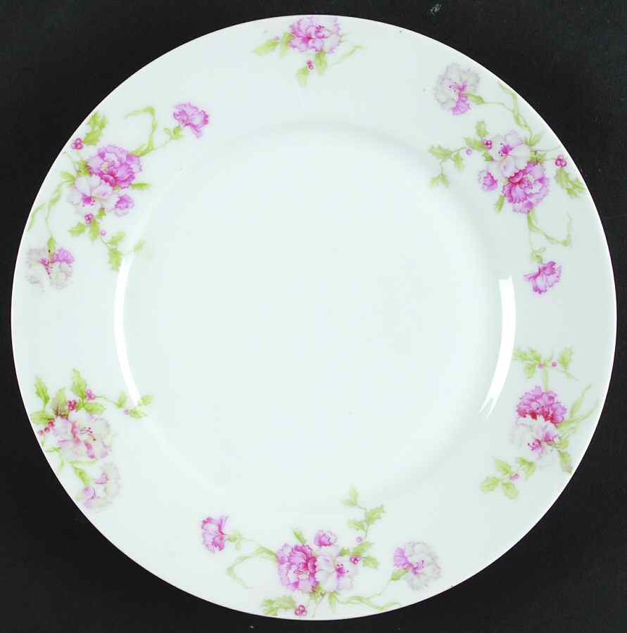 THO416 Dinner Plate by Thomas-1