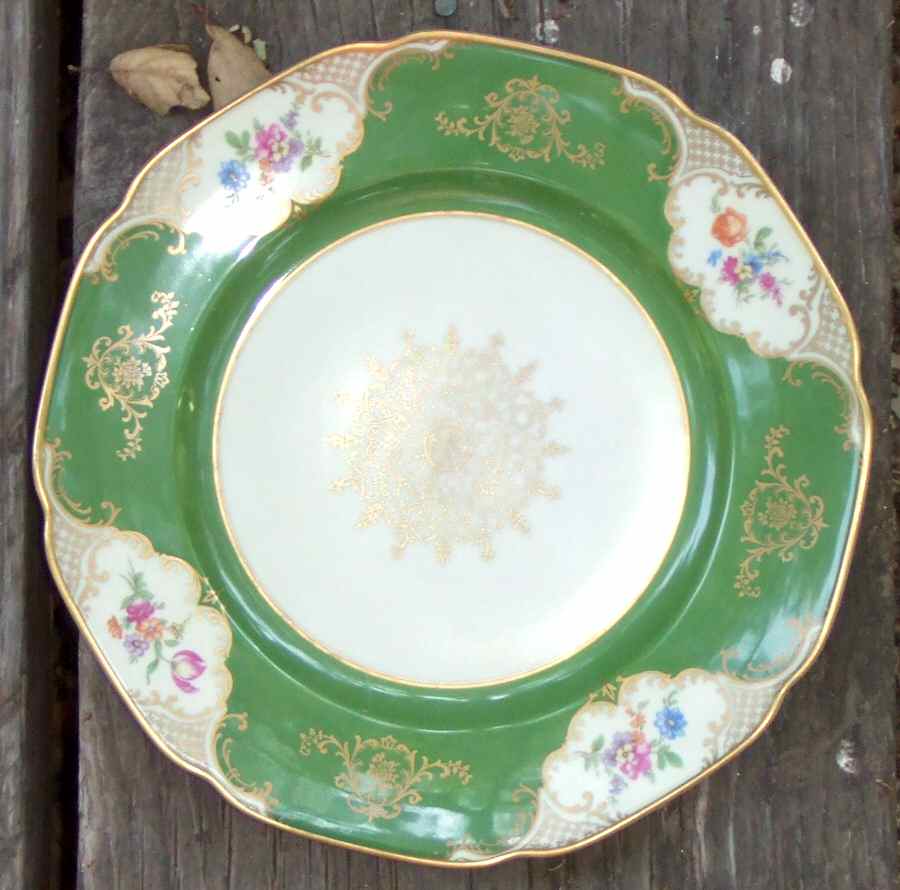 TIR522 Dinner Plate by Tirschenreuth-1