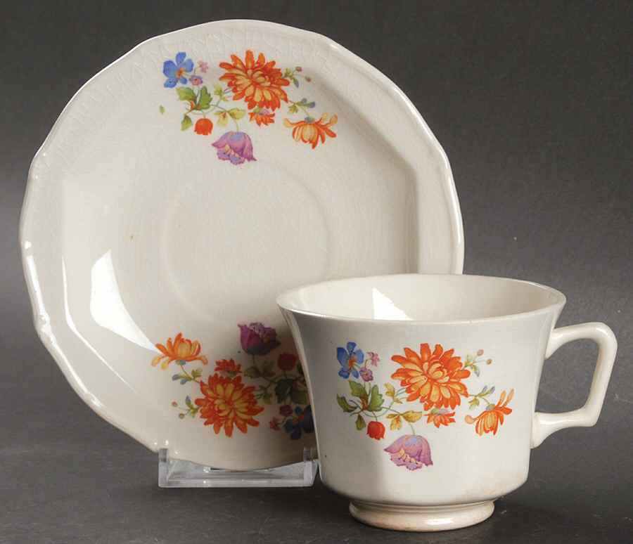 Spring Flowers Paramount Ivory Footed Cup & Saucer Set by Taylor, Smith & Taylor (Ts&T)-1