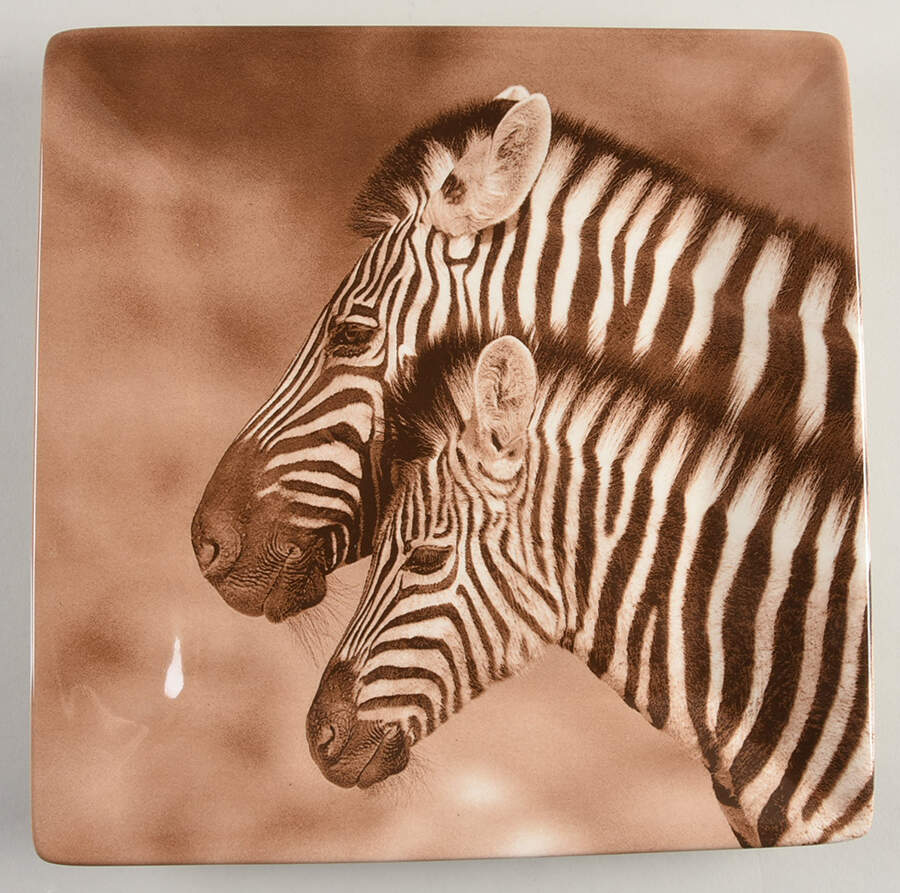 TAU41 Dinner Plate by Tabletops Unlimited-1