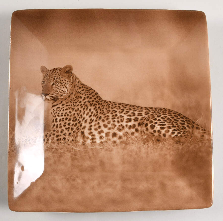 TAU41 Dinner Plate by Tabletops Unlimited-1