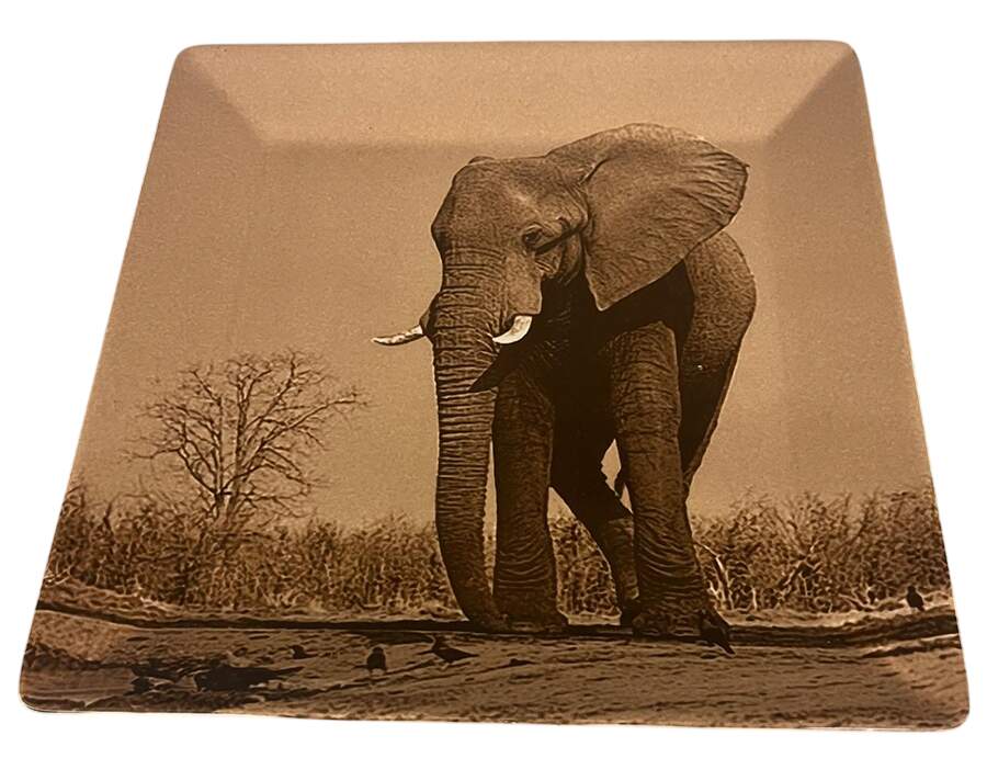 TAU41 14" Square Platter by Tabletops Unlimited-1