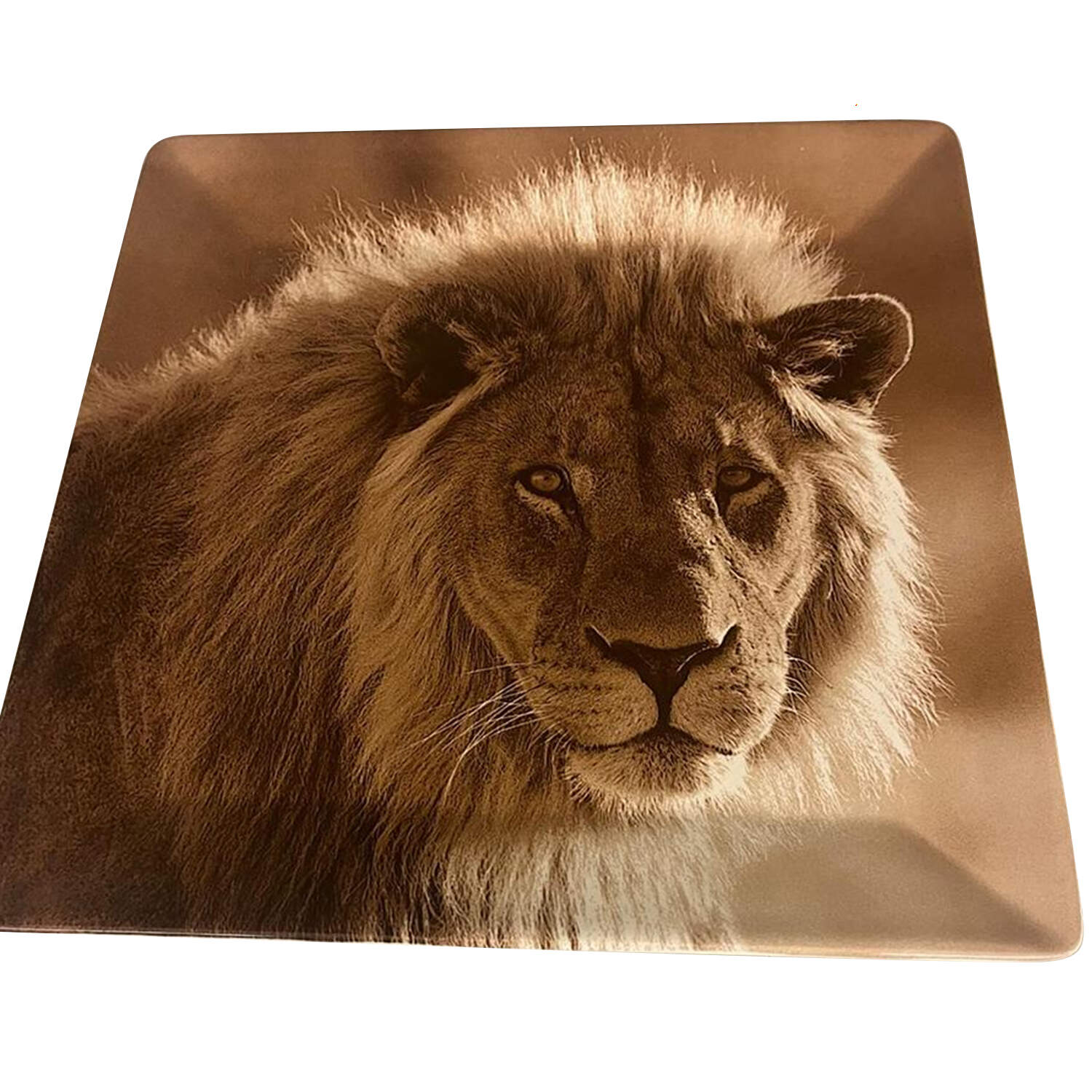 TAU41 14" Square Platter by Tabletops Unlimited-1
