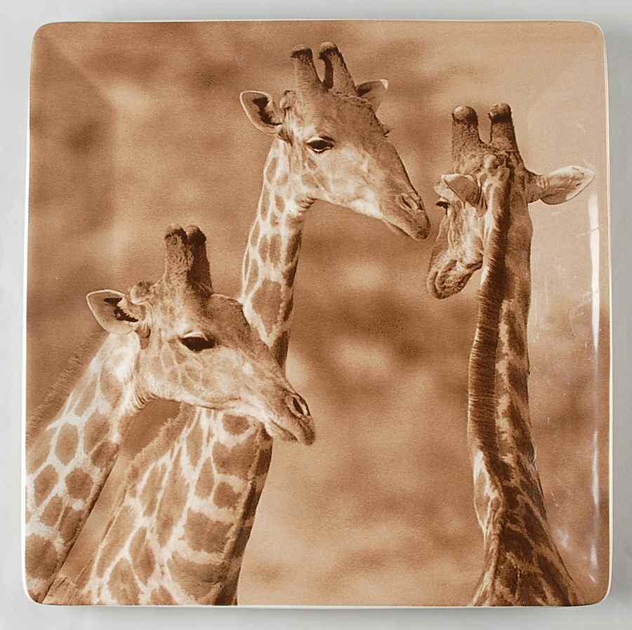TAU41 14" Square Platter by Tabletops Unlimited-1