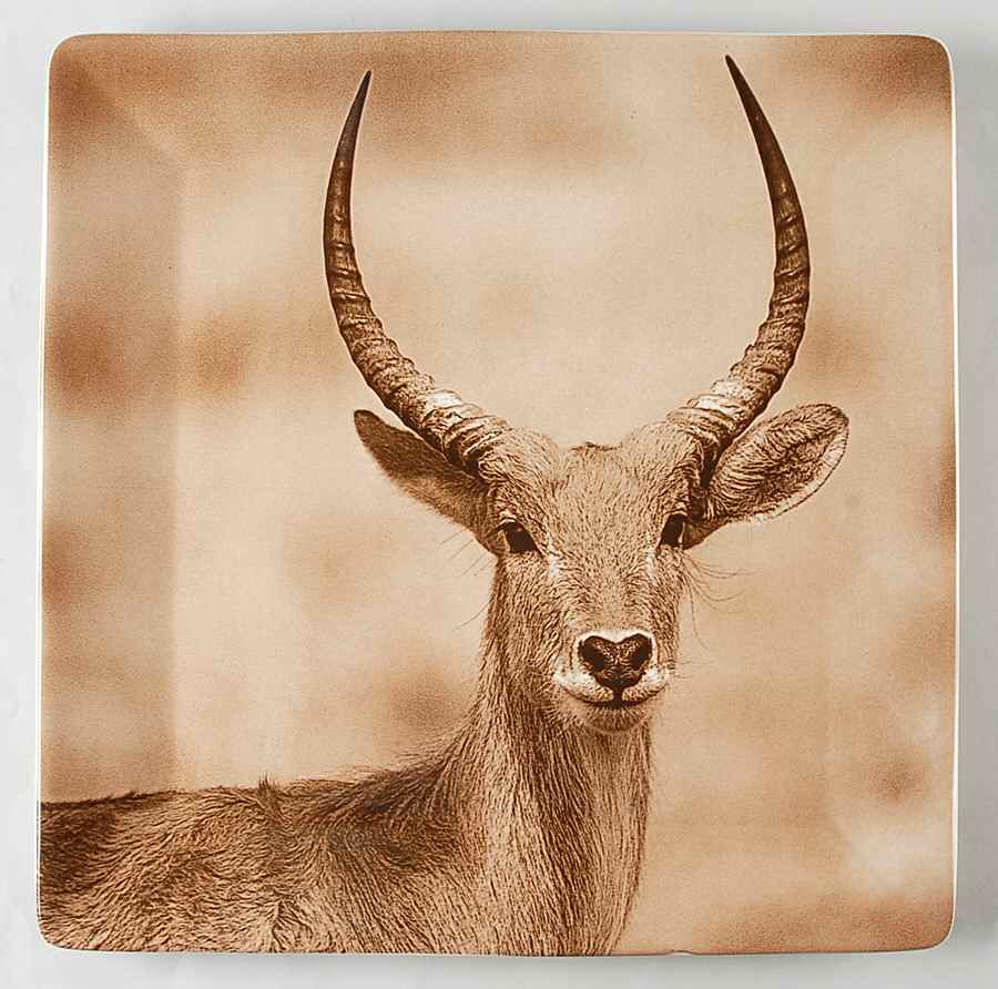 TAU41 14" Square Platter by Tabletops Unlimited-1