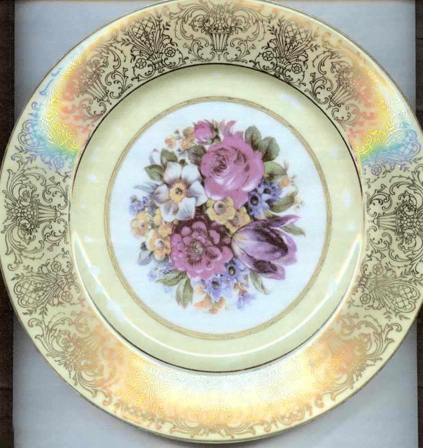 TIR527 Dinner Plate by Tirschenreuth-1