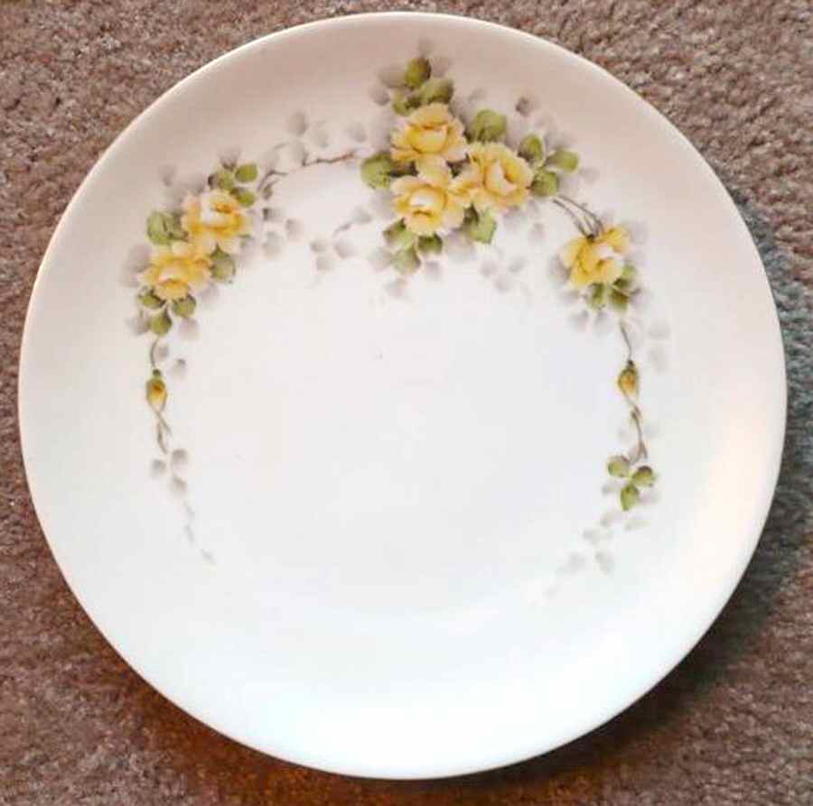 THO424 Luncheon Plate by Thomas-1