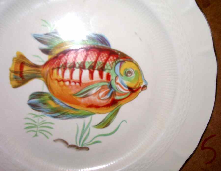 TOG42 Dinner Plate by Tognana-1