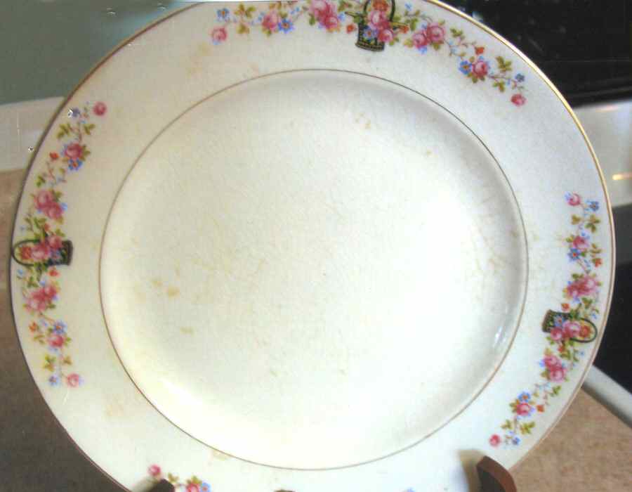 TST936 Dinner Plate by Taylor, Smith & Taylor (Ts&T)-1
