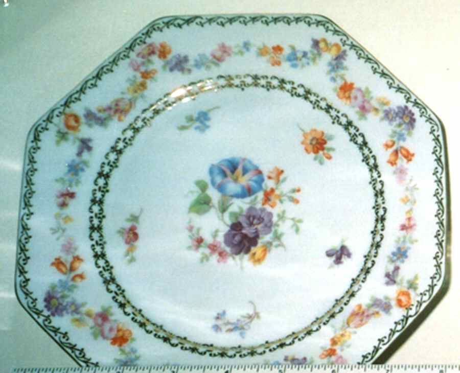 TIR533 Salad Plate by Tirschenreuth-1