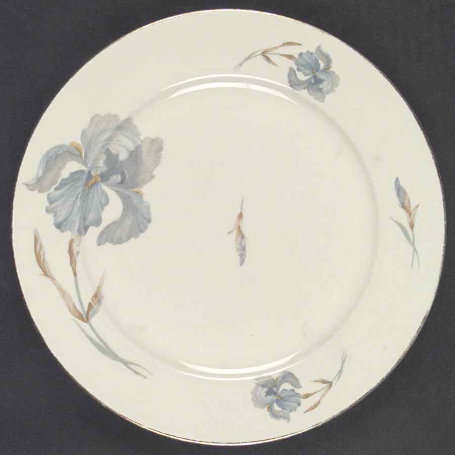 4704 Rim Dinner Plate by Thomas-1
