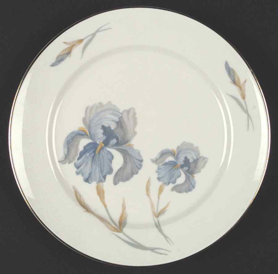 4704 Rim Salad Plate by Thomas-1