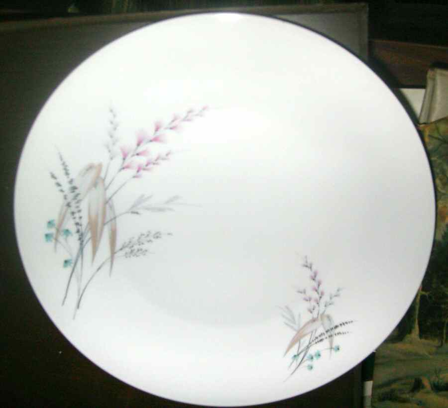 TIR535 Dinner Plate by Tirschenreuth-1