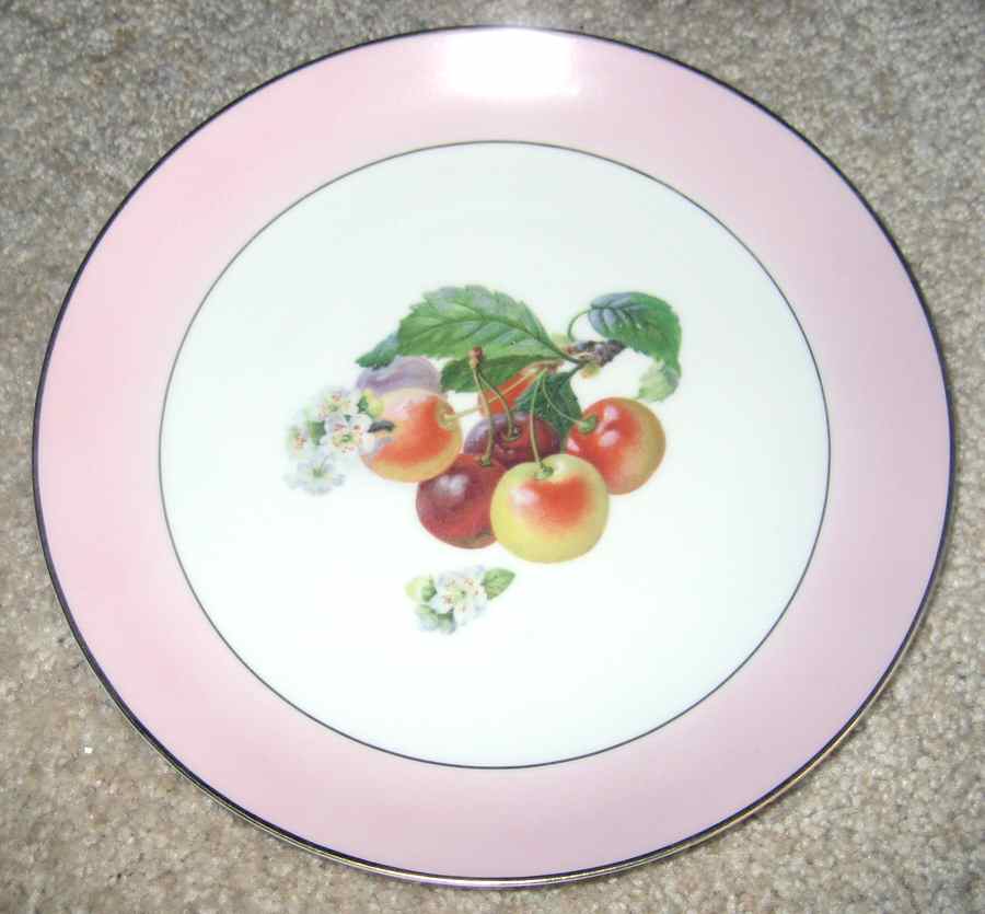 TIR540 Dinner Plate by Tirschenreuth-1