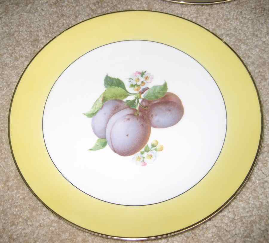 TIR541 Dinner Plate by Tirschenreuth-1