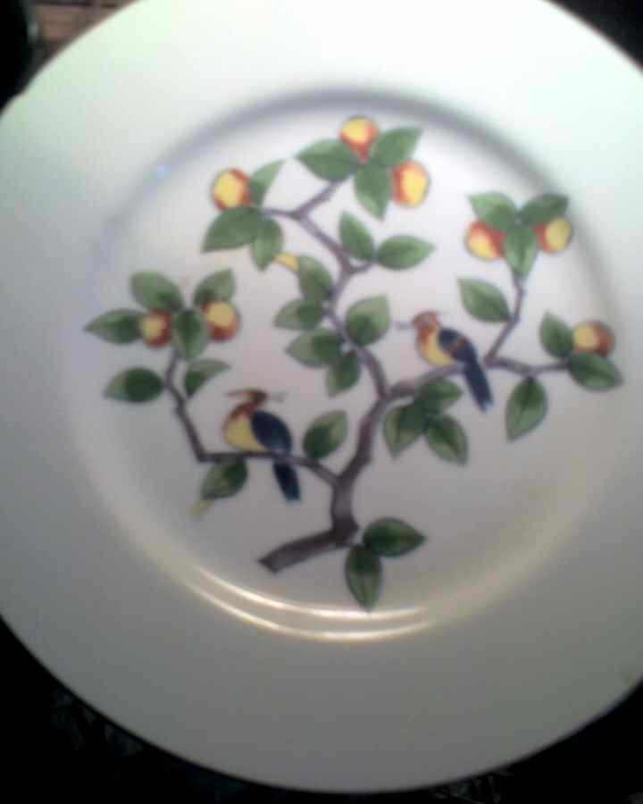 TTU6 Dinner Plate by Taitu-1