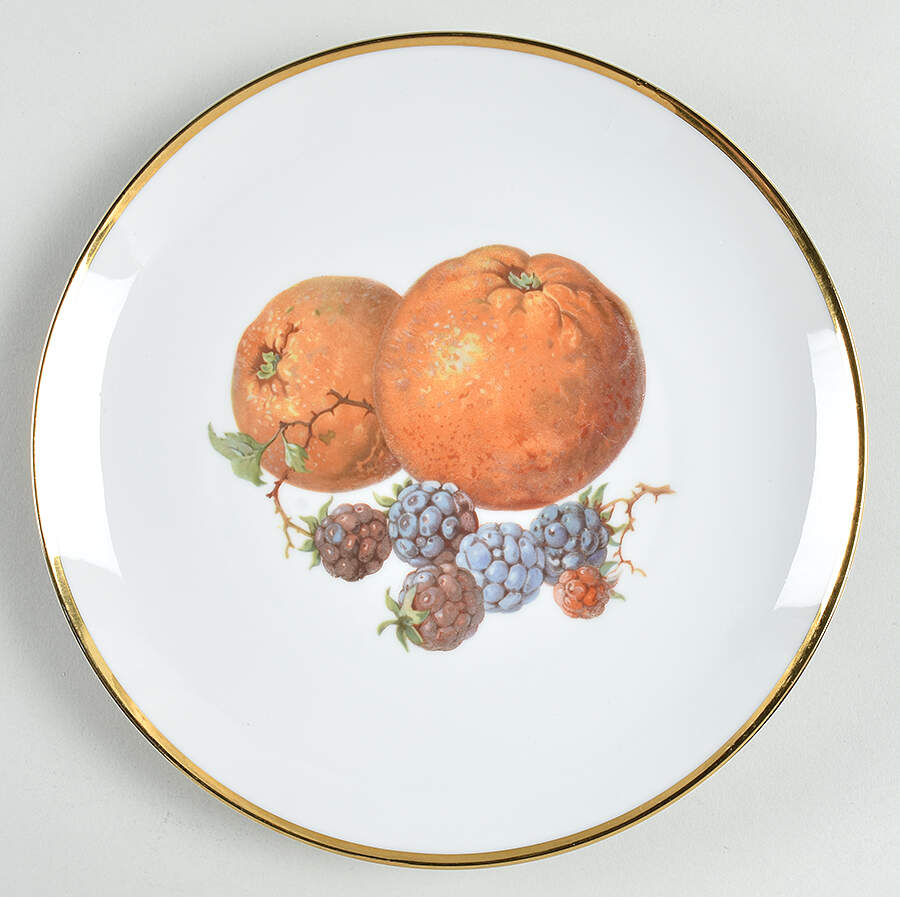TIR544 Luncheon Plate by Tirschenreuth-1