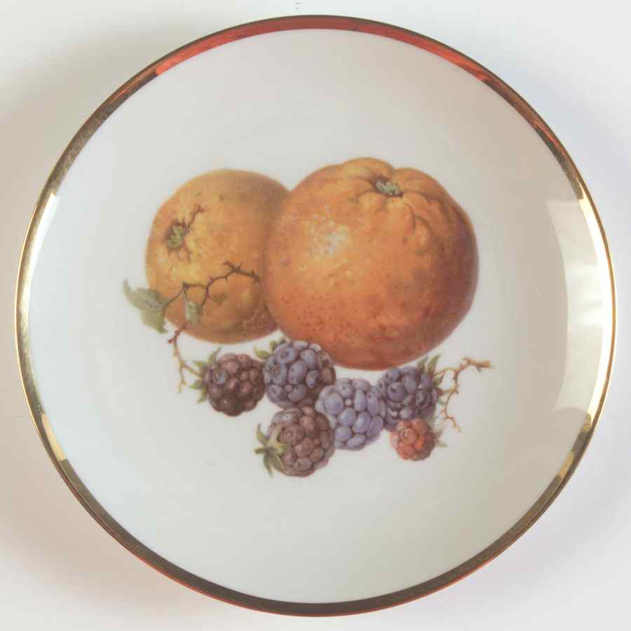 TIR544 Salad Plate by Tirschenreuth-1