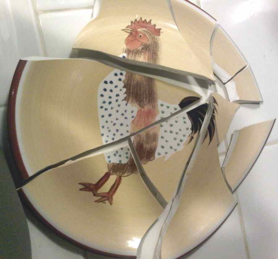 Lucy Dinner Plate by Tabletops Unlimited-1