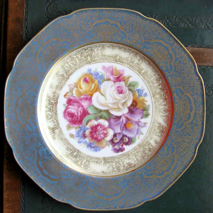 TIR550 Dinner Plate by Tirschenreuth-1