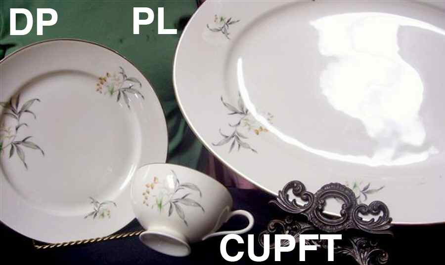 07490 Dinner Plate by Thomas-1