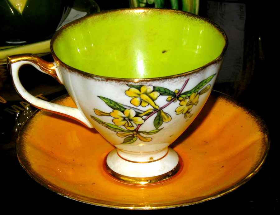 American State Flowers Series Footed Cup & Saucer Set by Taylor & Kent-1