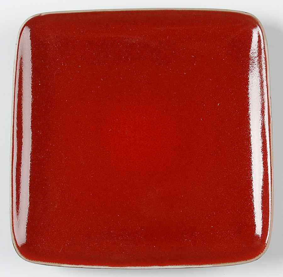 Paprika Square Salad Plate by Ty Pennington Style-1