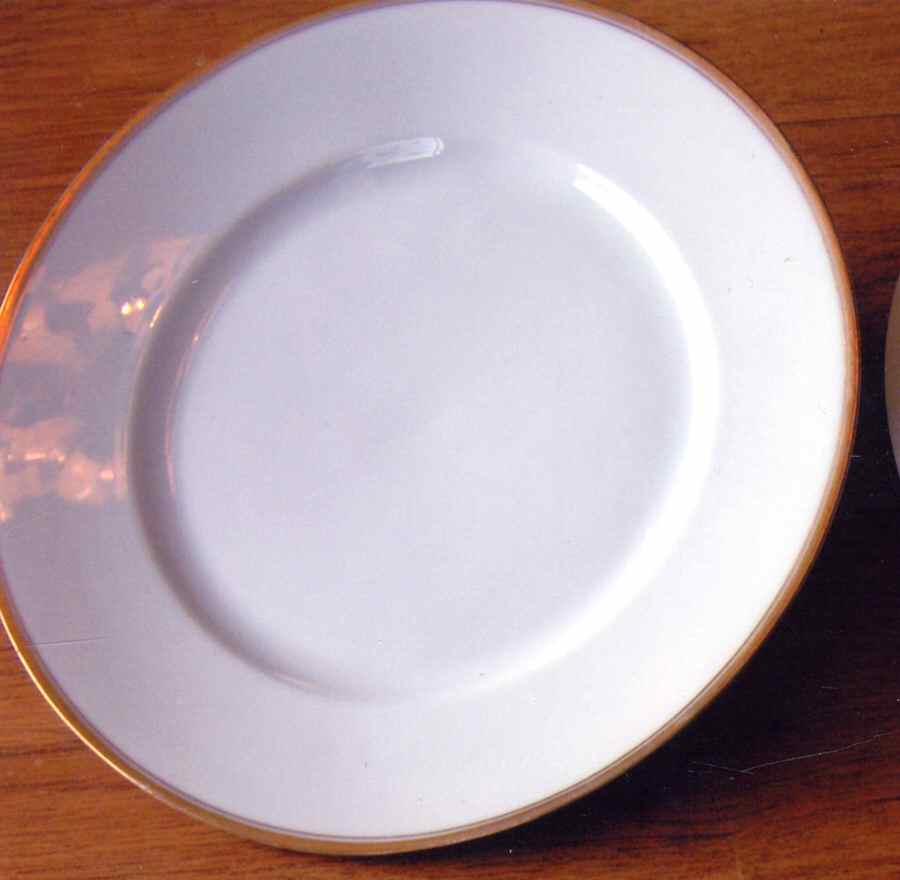 228 Dinner Plate by Thomas-1