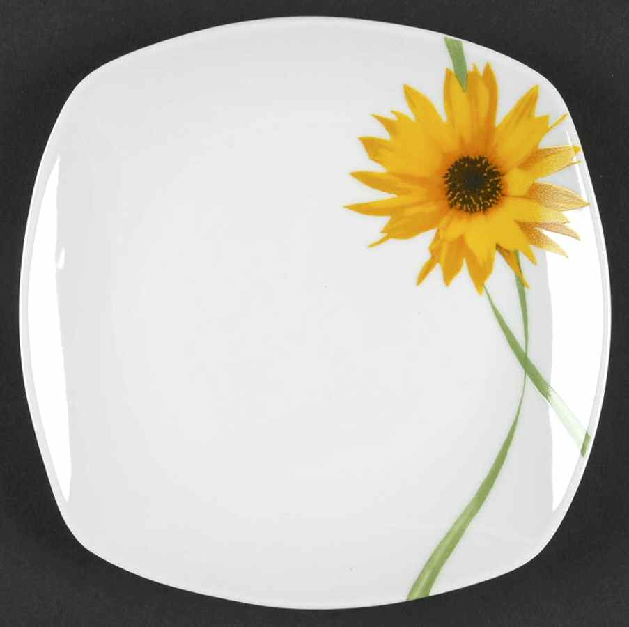 Dolce Salad Plate by Tabletops Unlimited-1