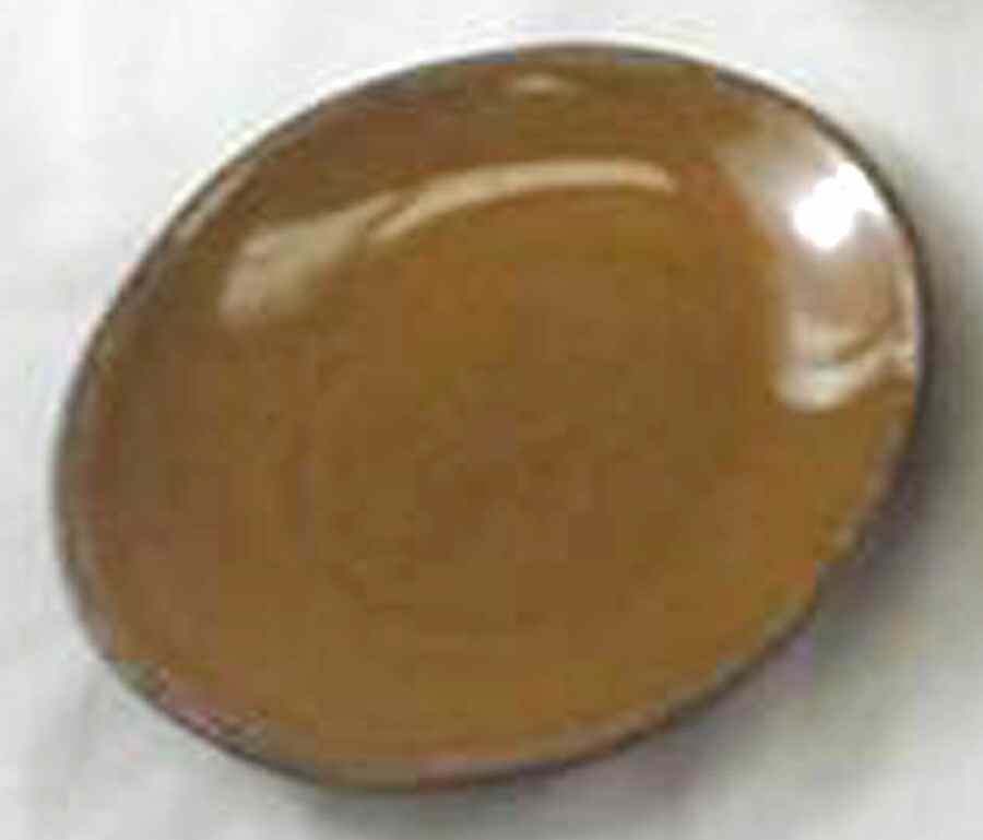 Valencia Golden (Brown) Salad Plate by Tabletops Unlimited-1