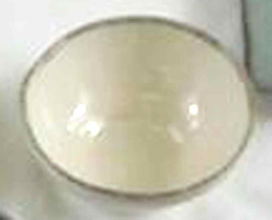 Valencia Parchment (Ivory) Coupe Cereal Bowl by Tabletops Unlimited-1
