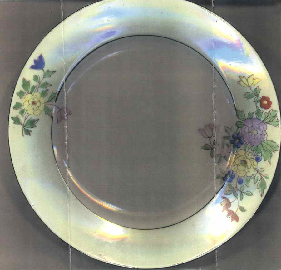 TI18 Dinner Plate by Trico-1