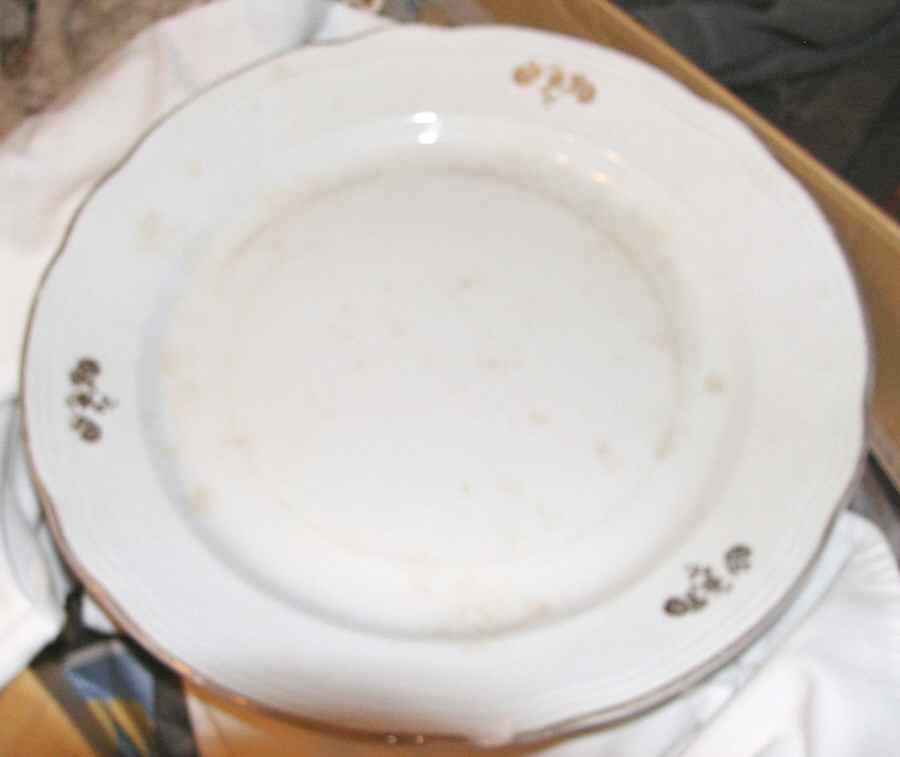 TOG46 Dinner Plate by Tognana-1