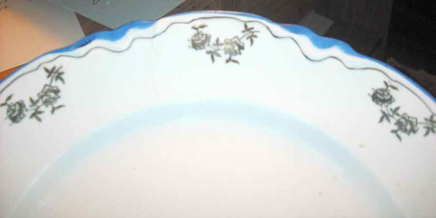 THP72 Dinner Plate by Thompson-1