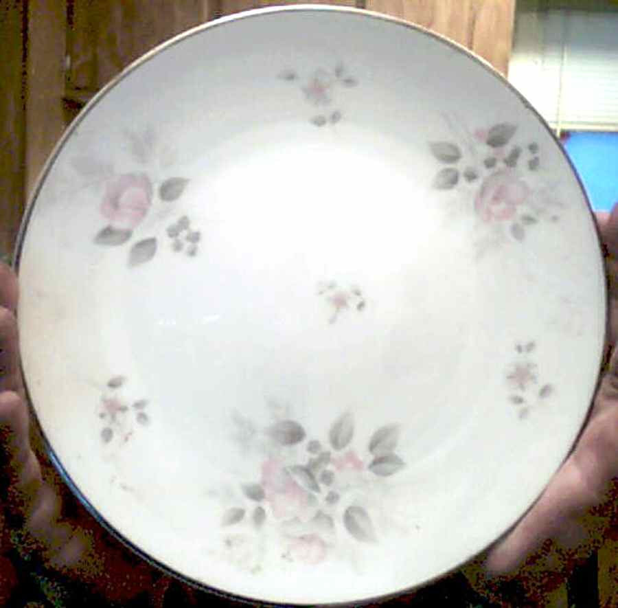 Pink Coquette Dinner Plate by Taylor, Smith & Taylor (Ts&T)-1