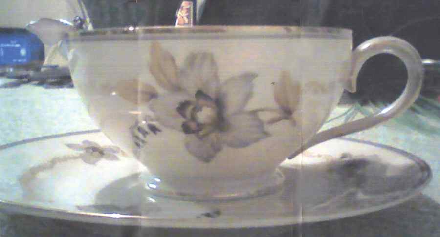 TIR561 Footed Cup & Saucer Set by Tirschenreuth-1