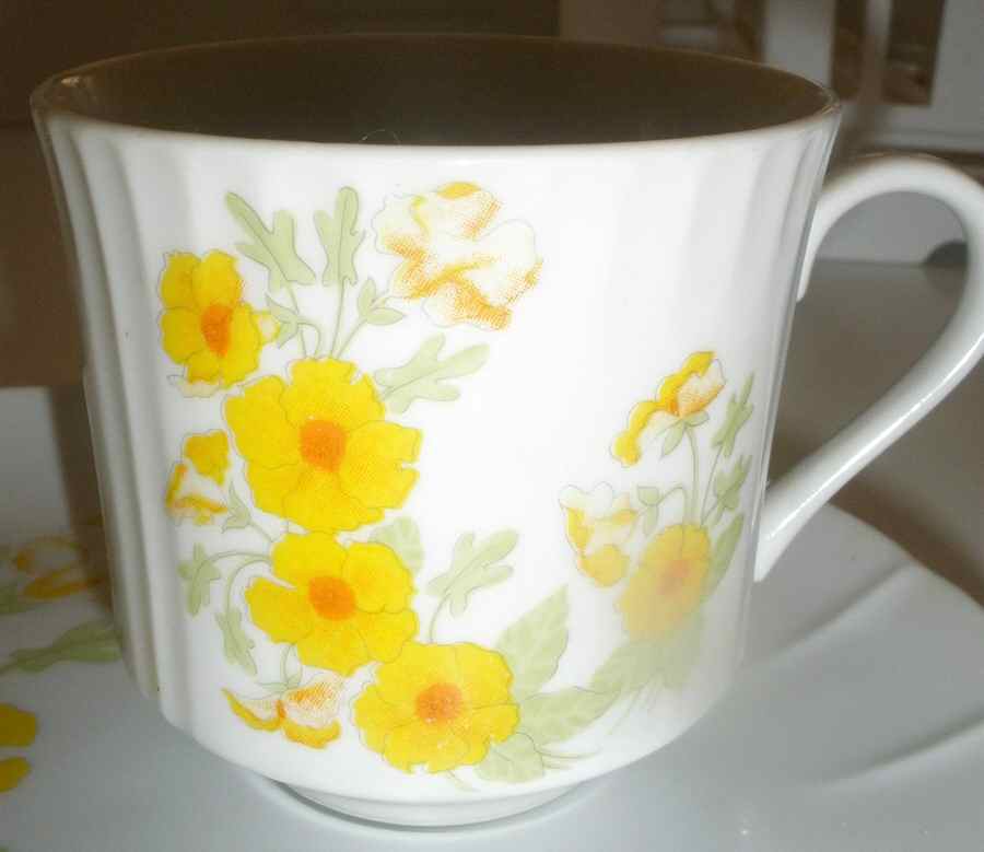 TOS24 Snack Cup by Toscany-1