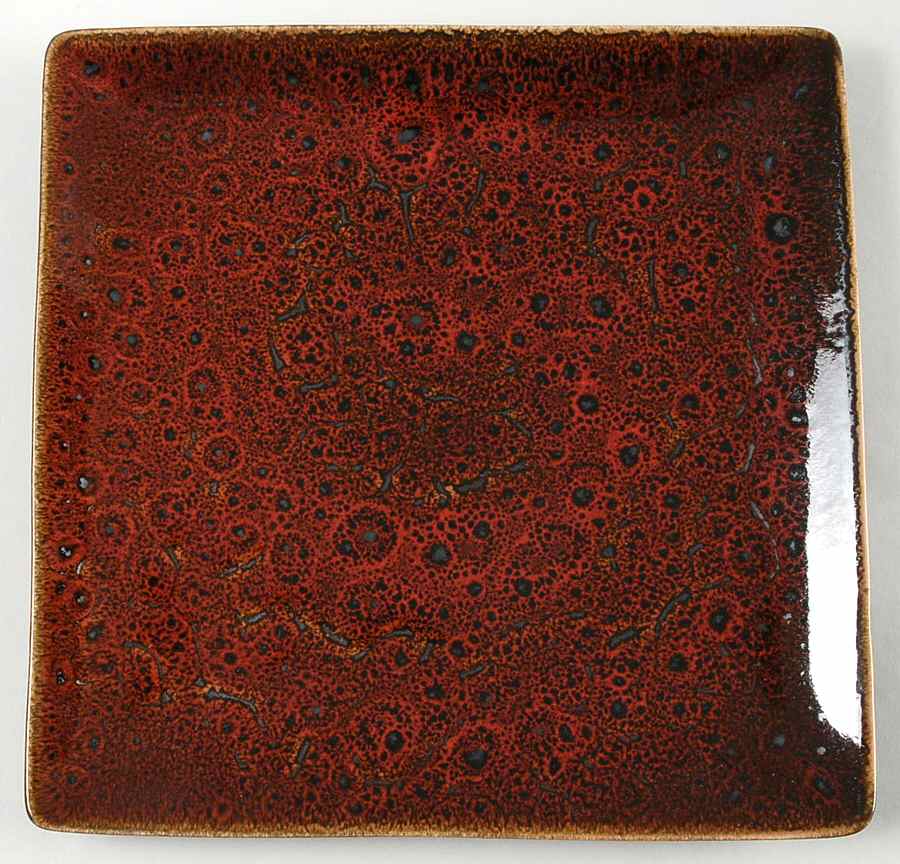 Ostrich Red Square Salad Plate by Tabletops Unlimited-1