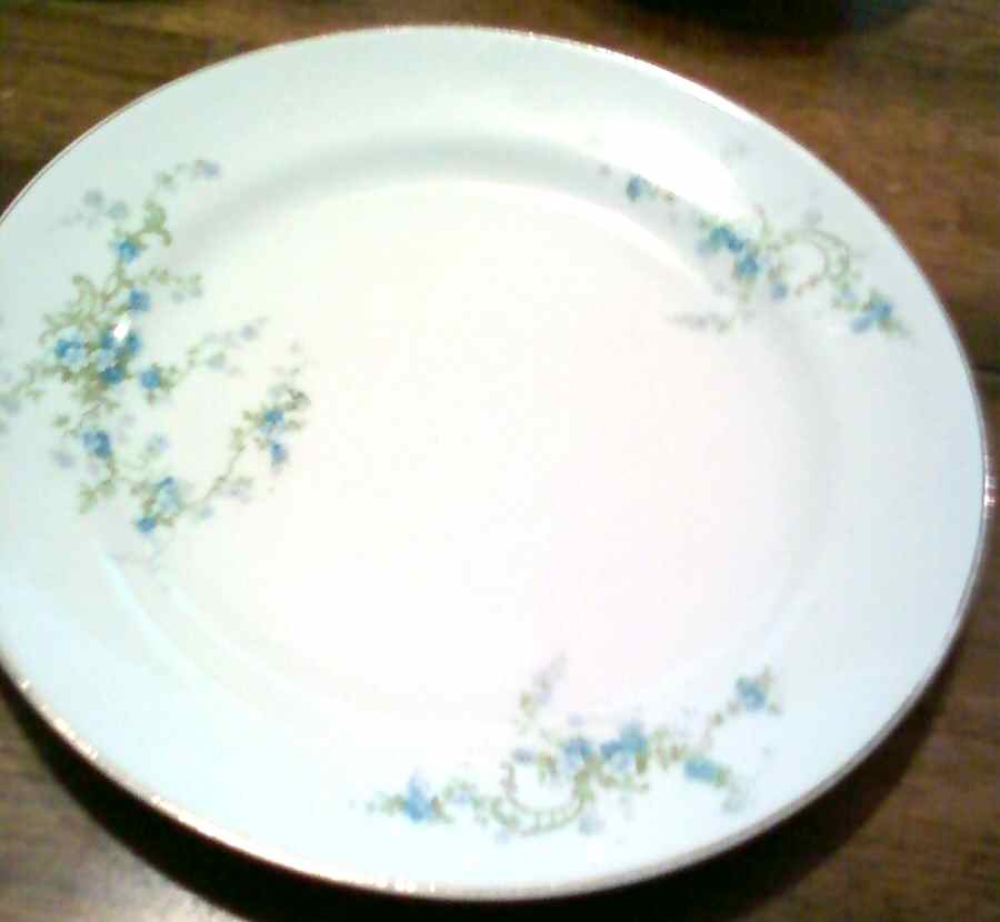 TNL5 Dinner Plate by Trenle-1
