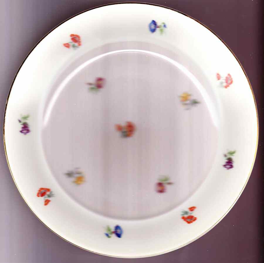 7379 Dinner Plate by Thomas-1