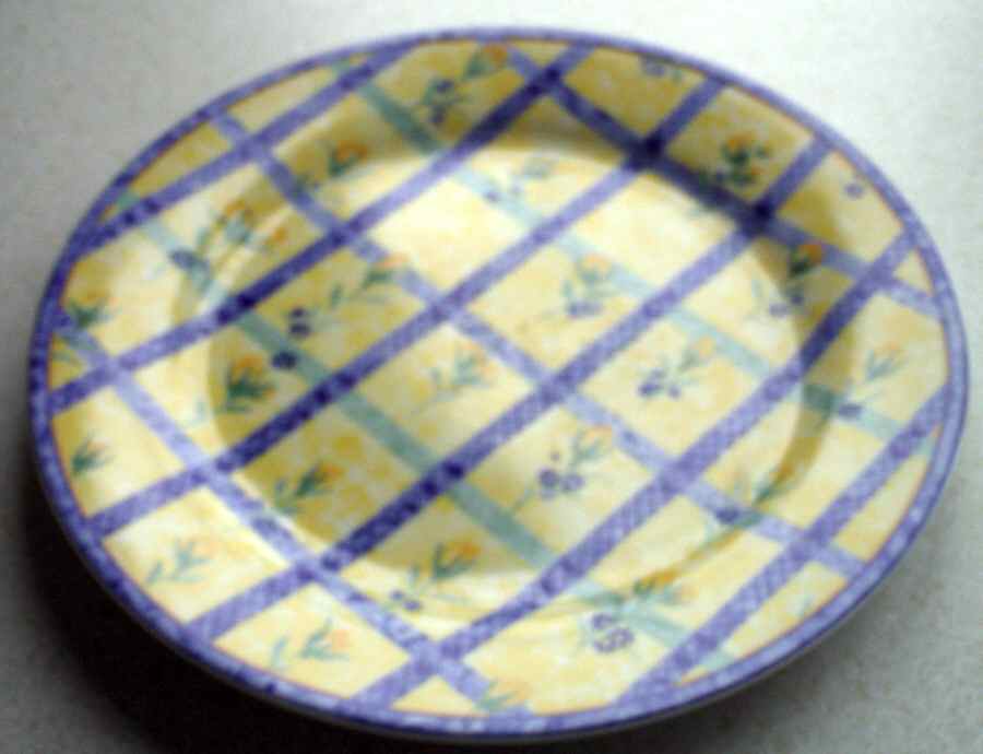 TIU2 Salad Plate by Topchoice Industries-1