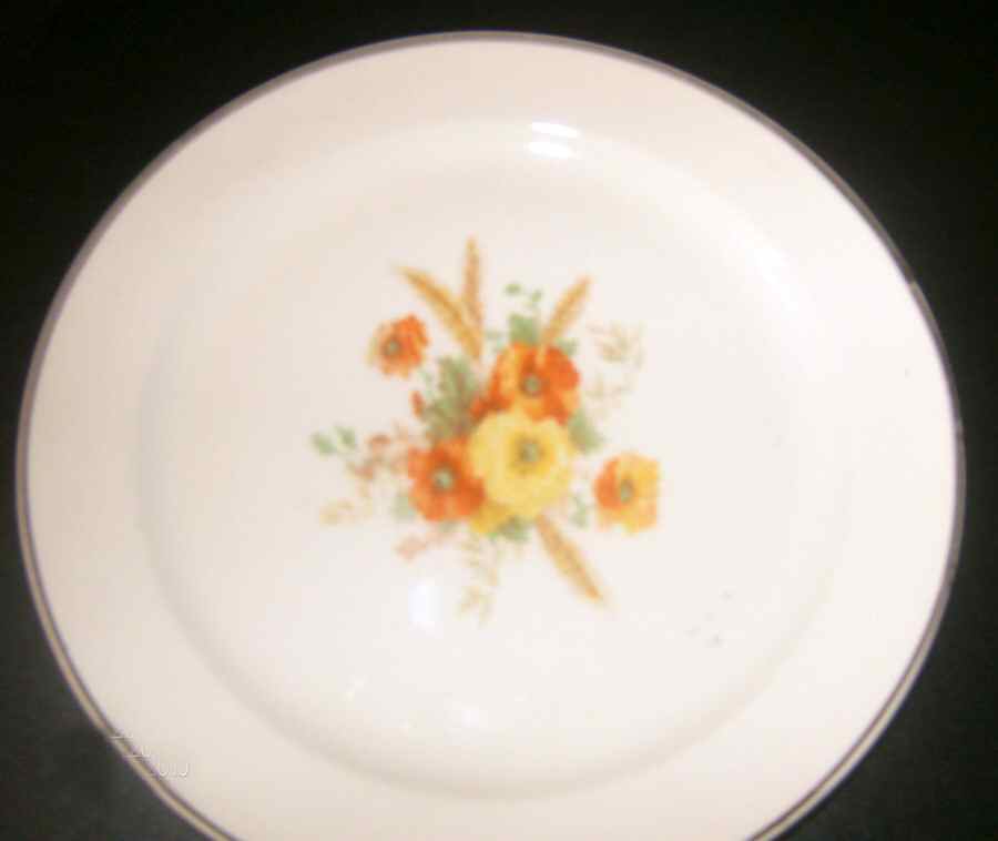 TST754 Dinner Plate by Taylor, Smith & Taylor (Ts&T)-1