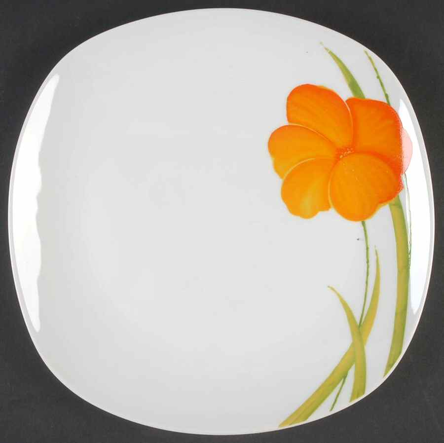 Messina Dinner Plate by Tabletops Unlimited-1