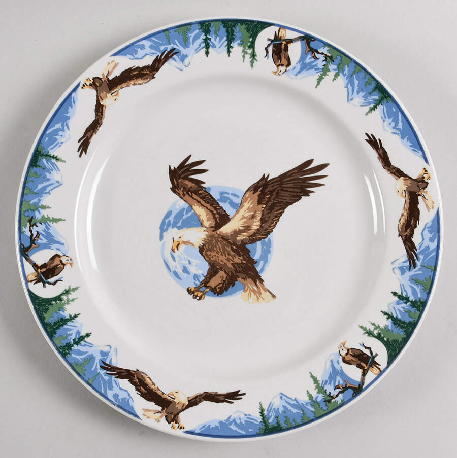 TIE78 Dinner Plate by Tienshan-1
