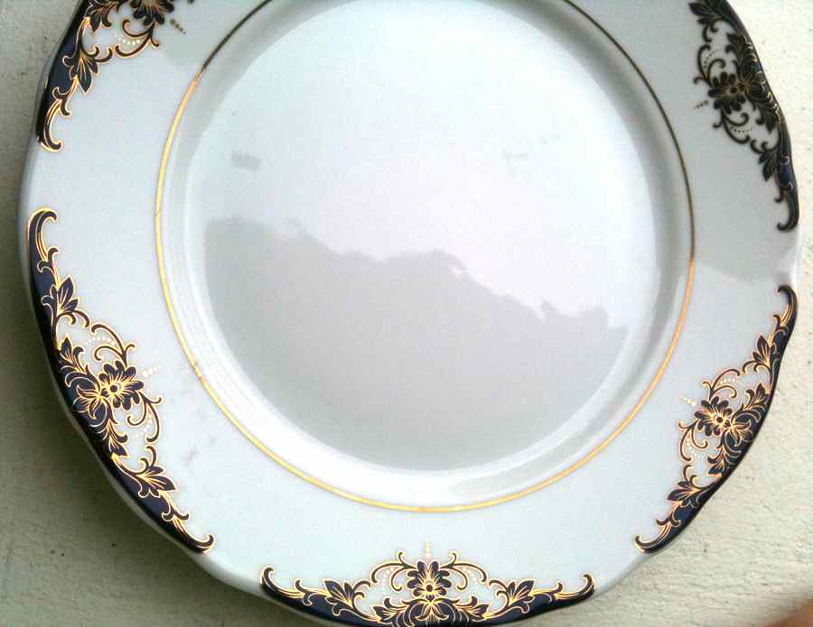 TIR581 Dinner Plate by Tirschenreuth-1