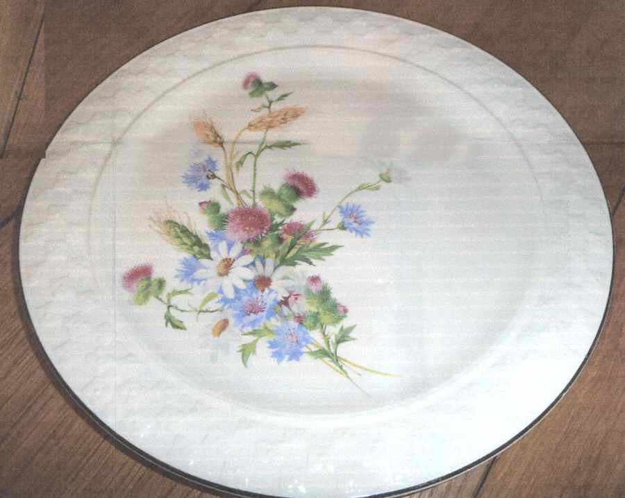 TST990 Dinner Plate by Taylor, Smith & Taylor (Ts&T)-1
