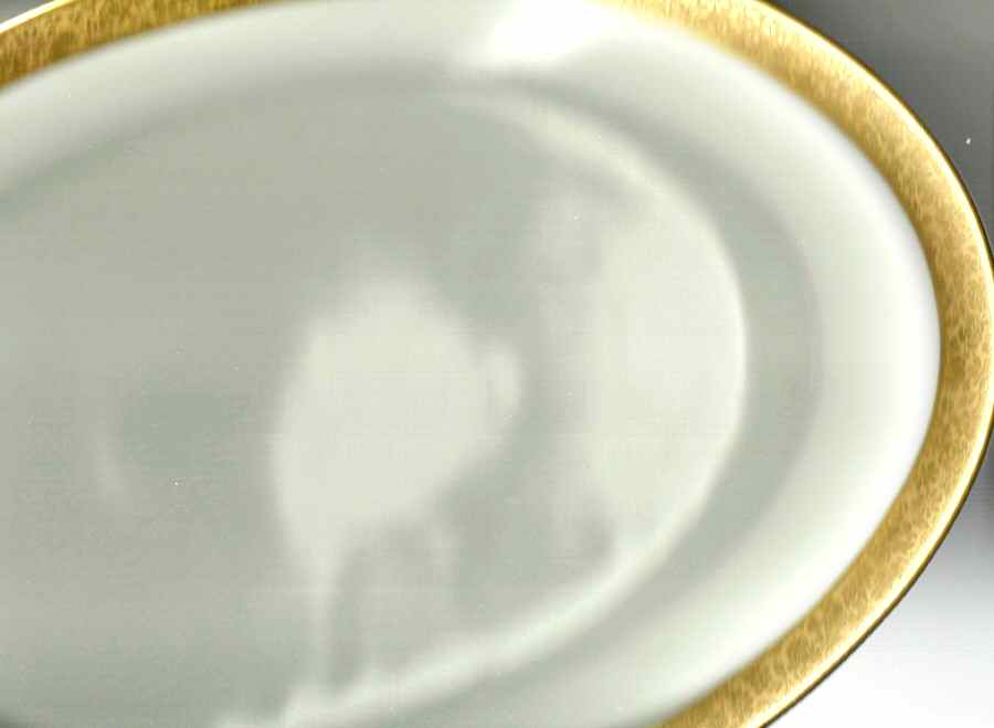 THO482 14" Oval Serving Platter by Thomas-1