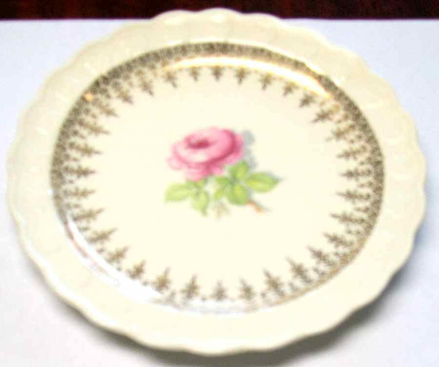 TST755 Dinner Plate by Taylor, Smith & Taylor (Ts&T)-1